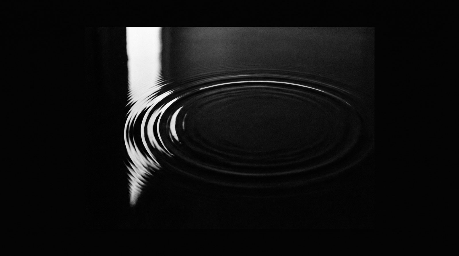 Concentric ripples spreading across dark still water